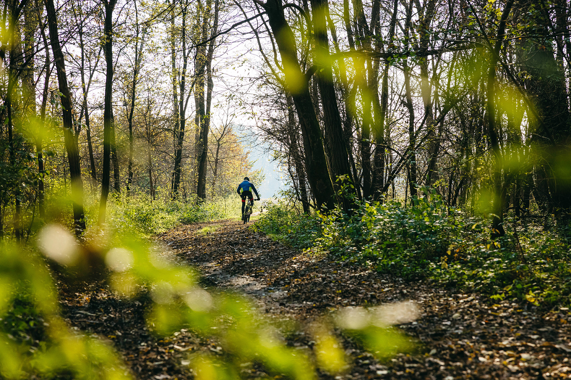 Schönbuch. A nature park straight out of a picture book