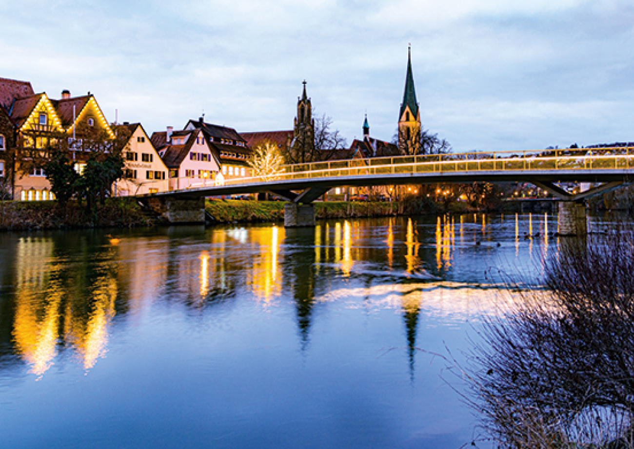 Leben am Neckar