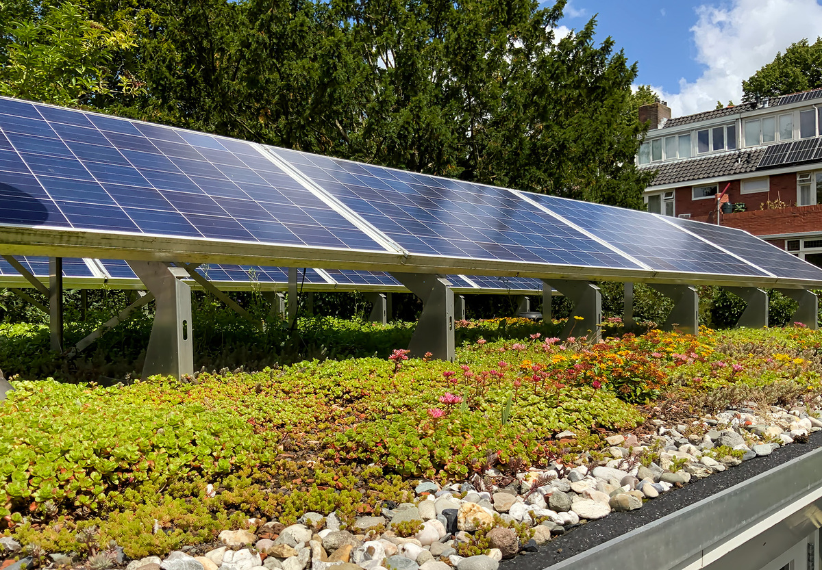 Mit Herz für die Umwelt