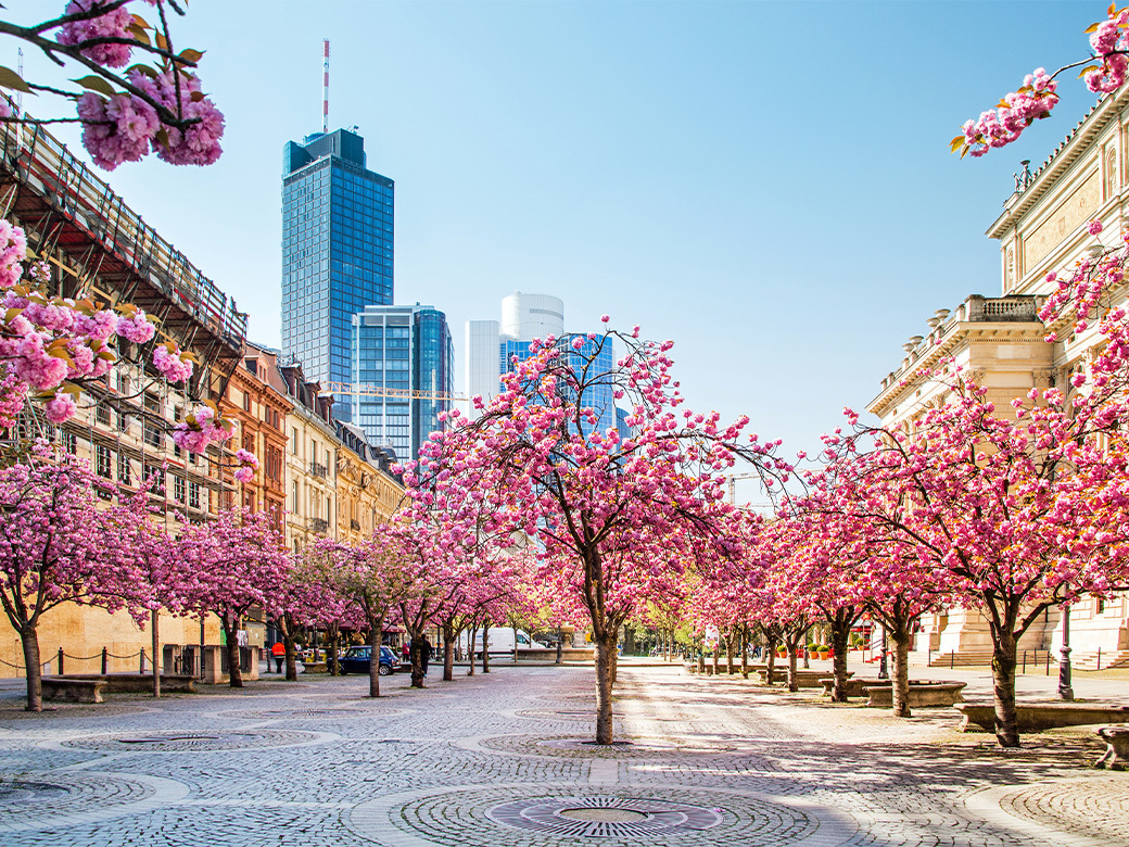 Peace and quiet in the middle of it all