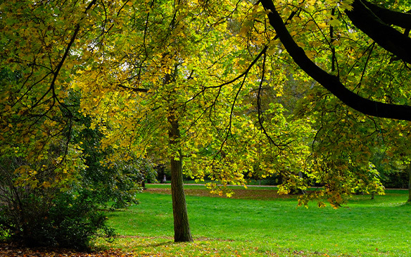 Selten gibt es Lagevorteile, die so überzeugen