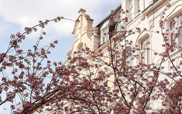 Wohnen im kulturellen Hotspot Bonns