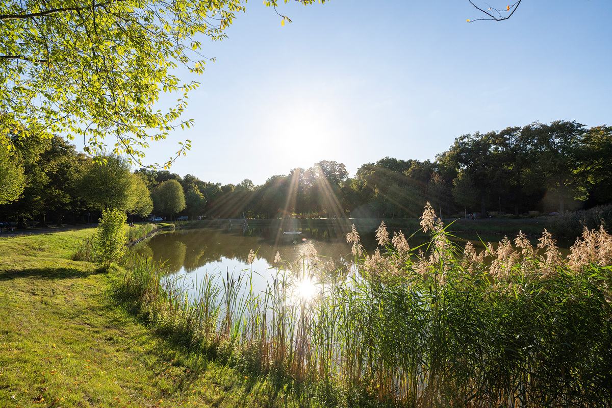 Die Strahlkraft des urbanen Raums.