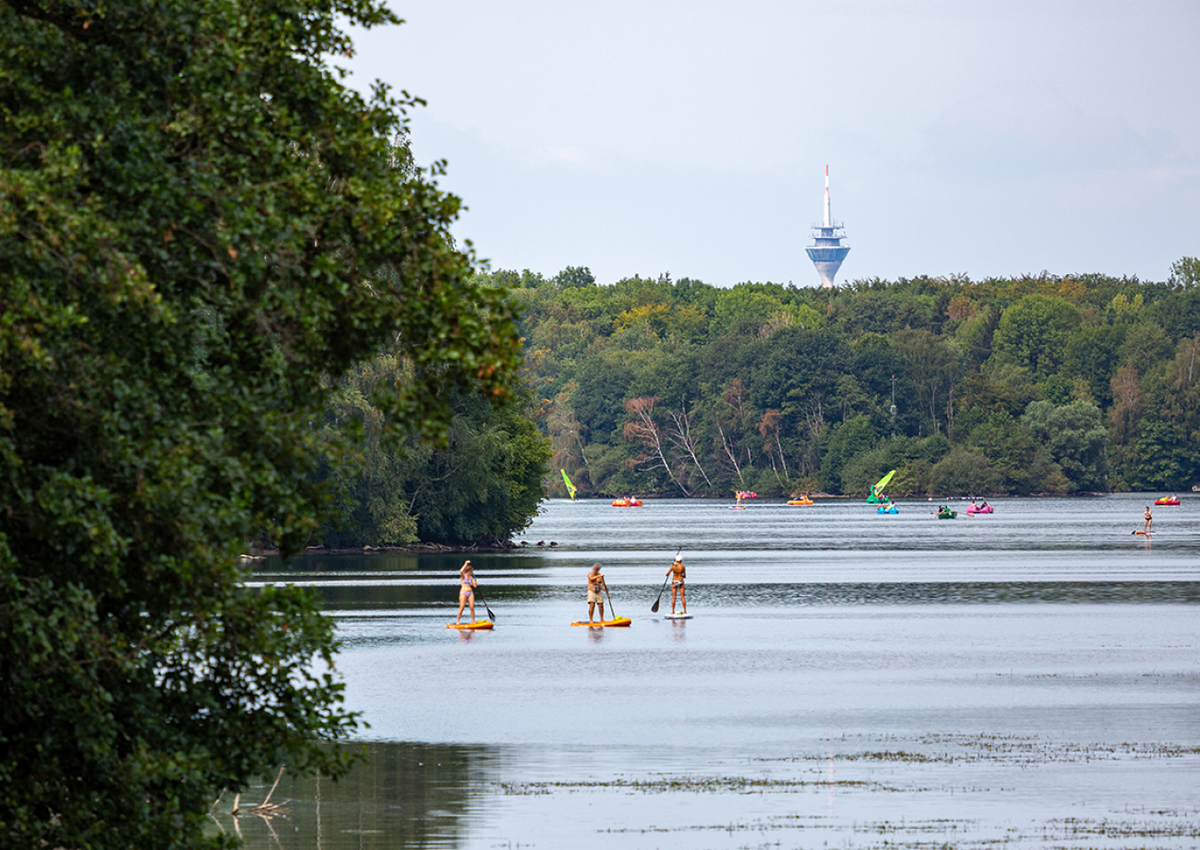 Vis-à-Vis mit der Natur